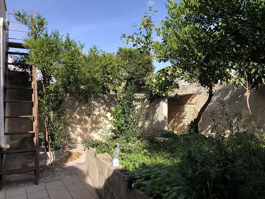 Immagine 24 di Casa indipendente in vendita  in Via Roma a Cannole