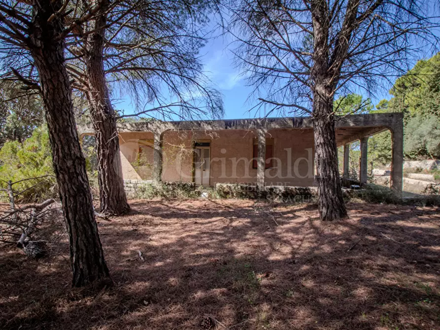 Immagine 1 di Terreno agricolo in vendita  in Via Cava Grande, 1 a Avola
