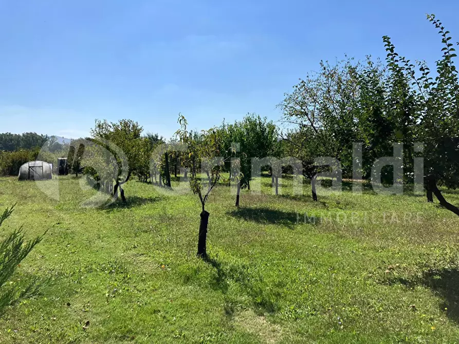 Immagine 7 di Terreno agricolo in vendita  in Via dei prati fioriti a Magione
