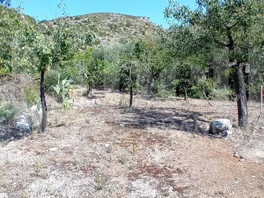 Immagine 3 di Rustico / casale in vendita  in Via Sant'Agostino, s.n.c. a Gaeta