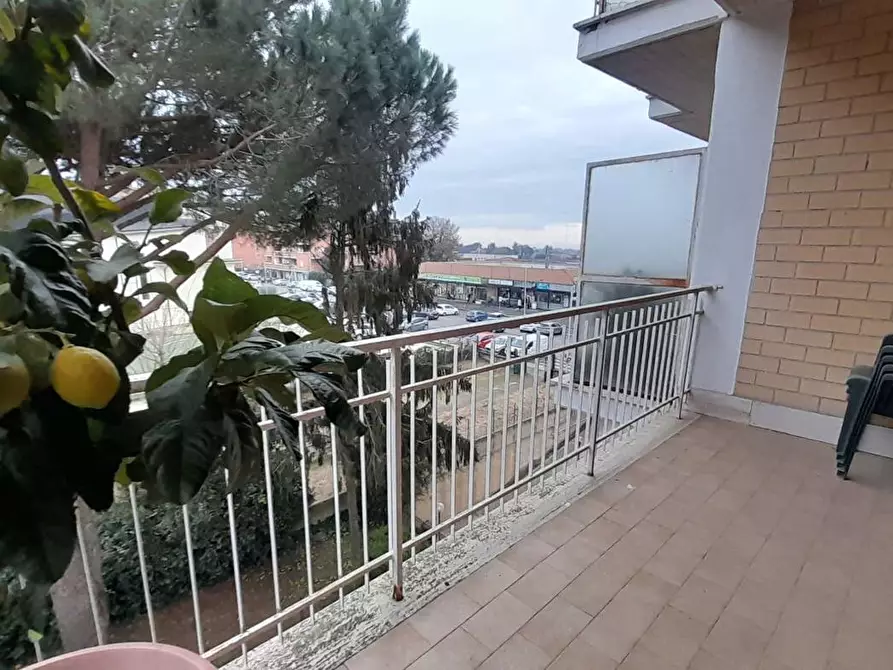 Immagine 19 di Appartamento in vendita  in Via DELLE PALME, 00 a Bracciano