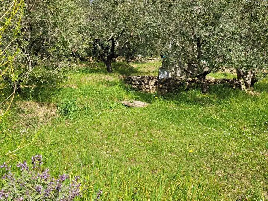 Immagine 1 di Terreno agricolo in vendita  in Via del limoncino, 75 a Livorno