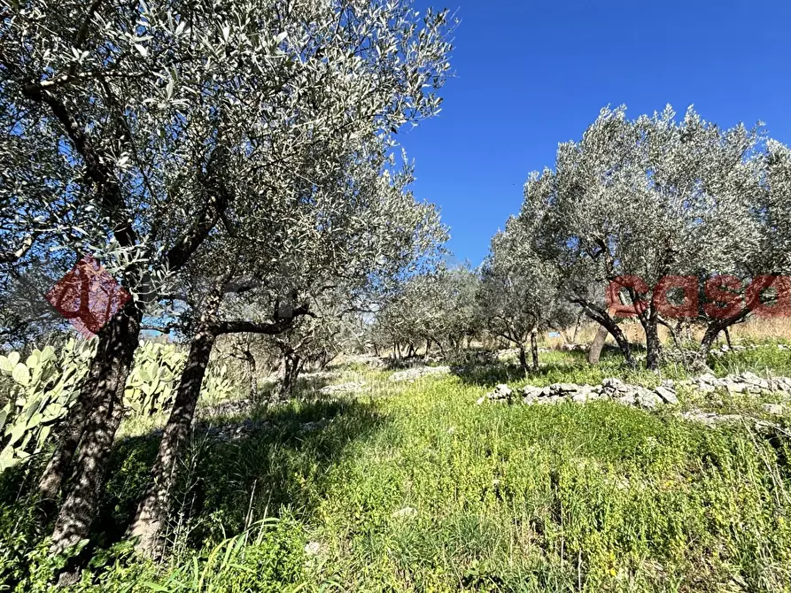 Immagine 12 di Rustico / casale in vendita  in Via Montereo, 32 a Alatri