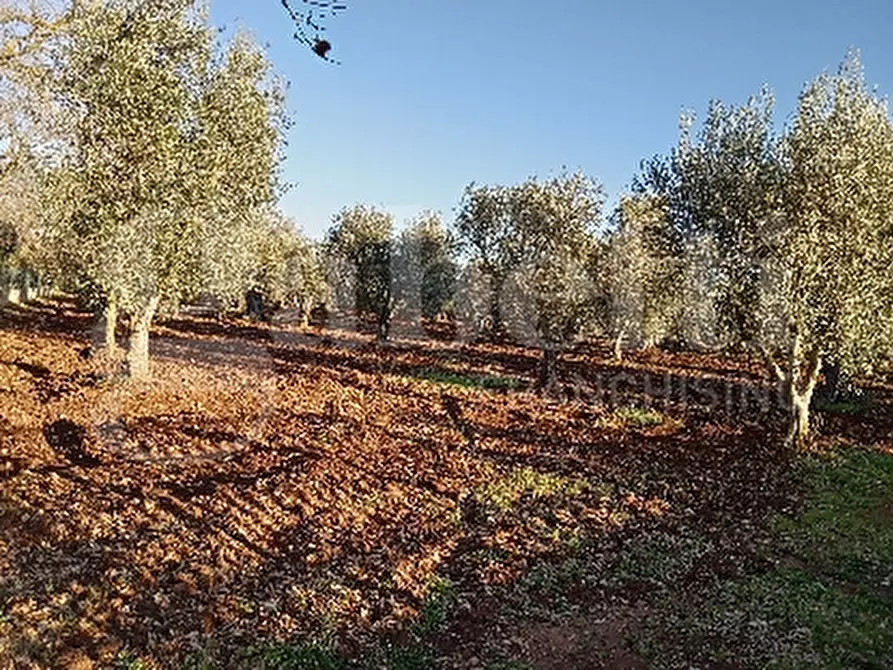 Immagine 1 di Terreno residenziale in vendita  in Contrada Falgheri, sn a Ostuni