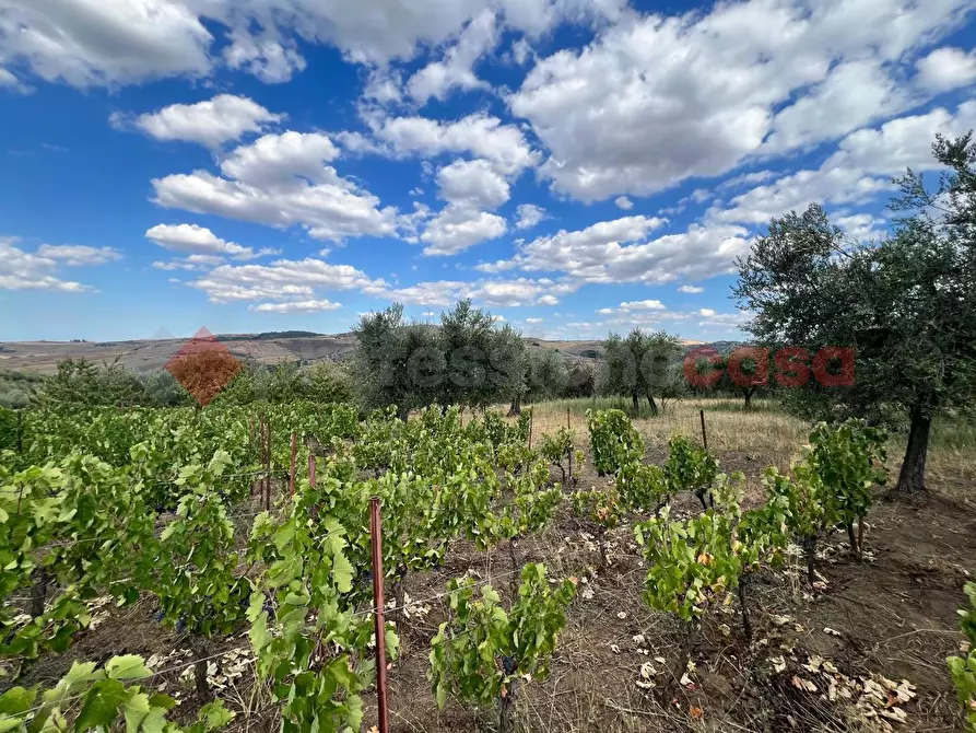 Immagine 19 di Terreno agricolo in vendita  in Contrada GORIZZE, SNC a Barile