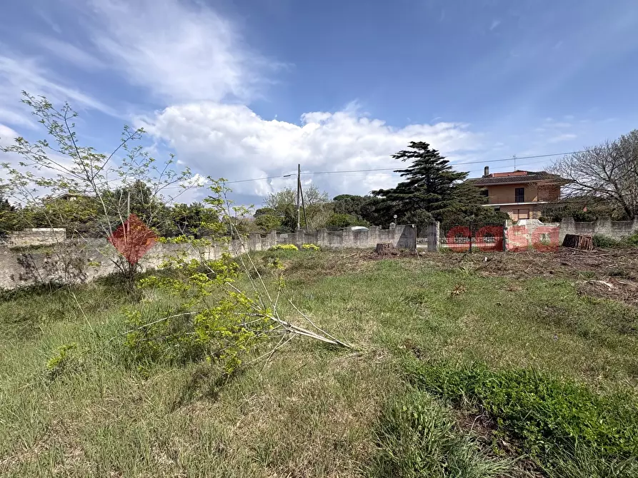 Immagine 12 di Terreno agricolo in vendita  in Via SAN FELICE CIRCEO TRAVERSA 23, 23 a Terracina