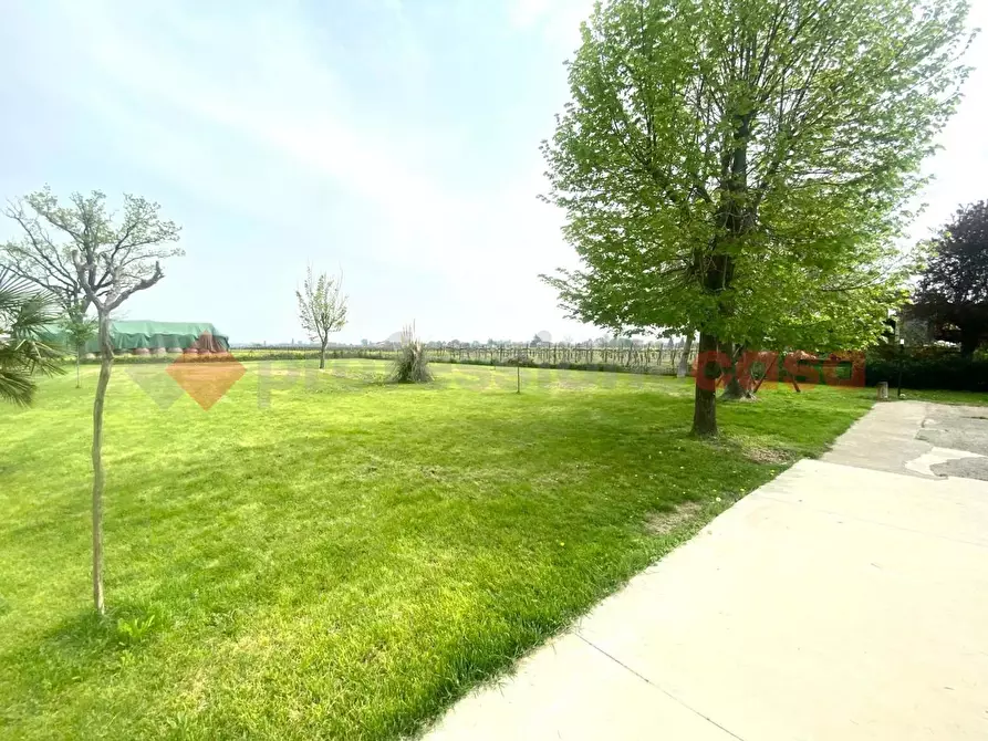 Immagine 26 di Villa in vendita  in Via martiri a Scandiano