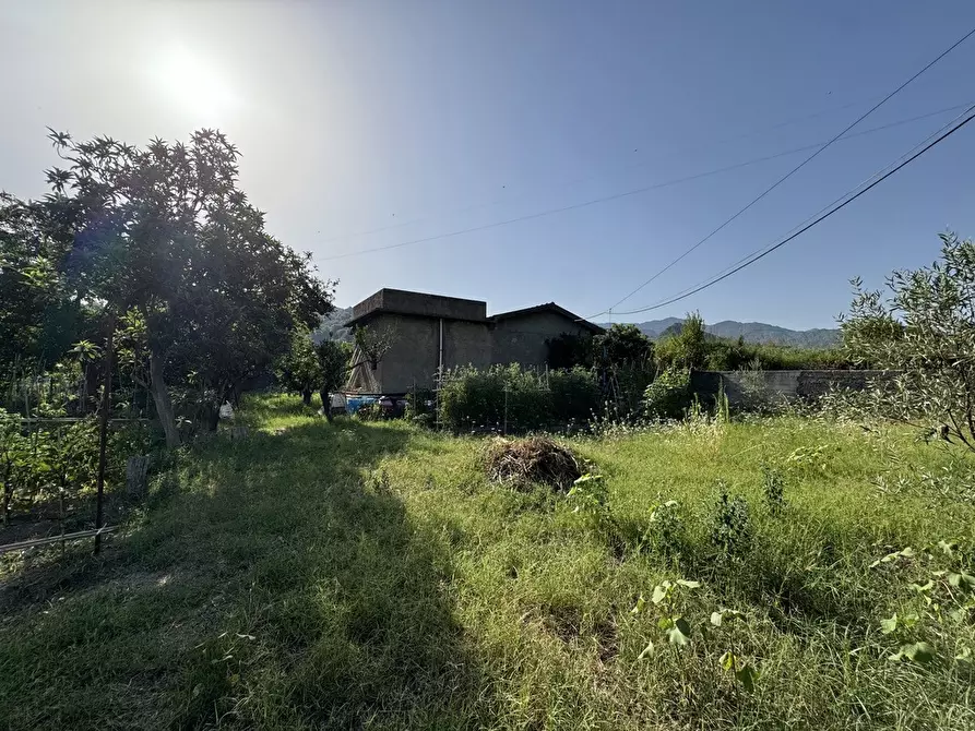 Immagine 9 di Terreno agricolo in vendita  in Strada comunale, snc a Rometta