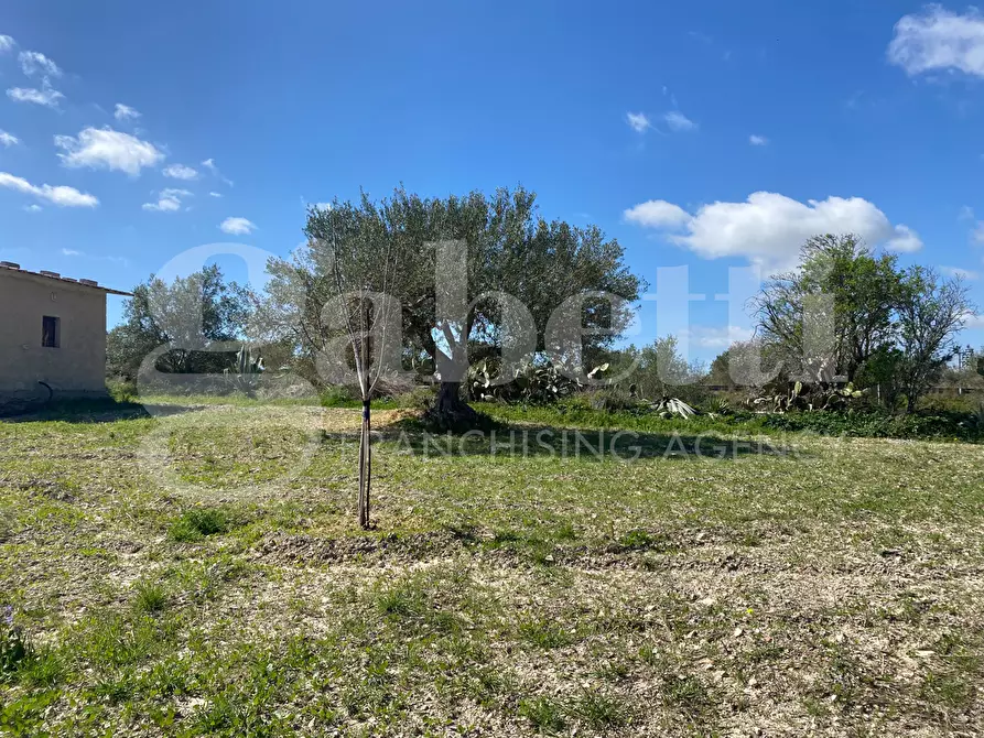 Immagine 8 di Terreno agricolo in vendita  in Strada consortile s.lorenzo, . a Noto