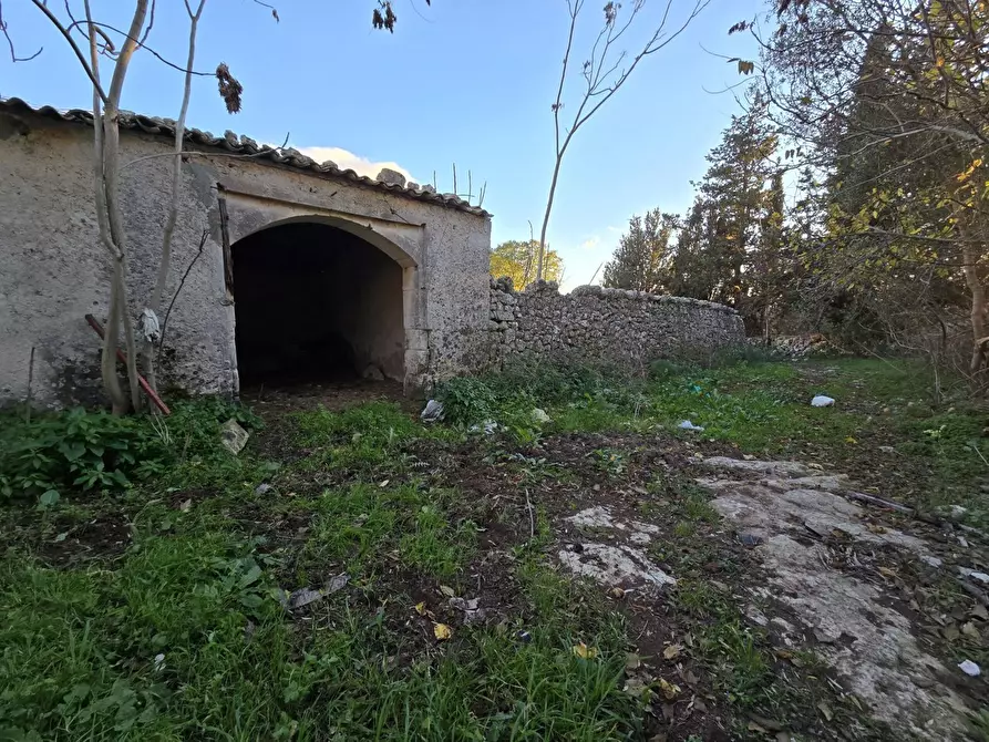 Immagine 12 di Terreno agricolo in vendita  in Contrada porcari, snc a Noto