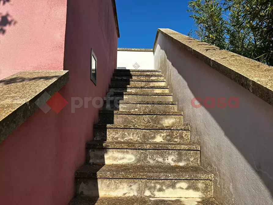 Immagine 15 di Casa indipendente in vendita  in Contrada ZINGARELLO a Monopoli