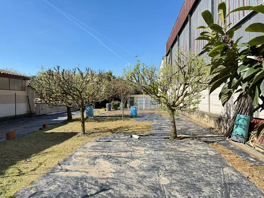 Immagine 1 di Terreno residenziale in vendita  in Via GUGLIERMO MARCONI, 104 a Miradolo Terme