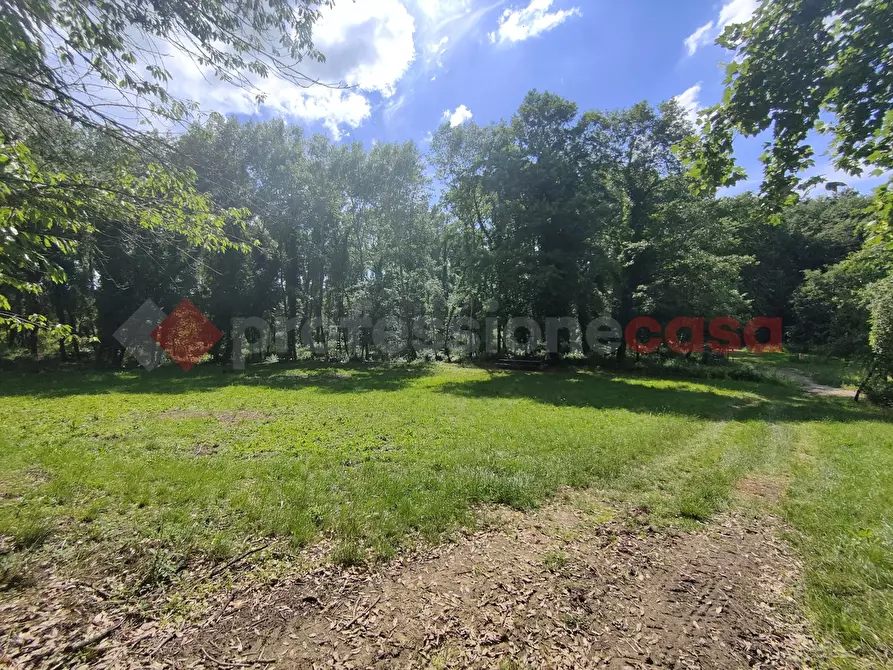 Immagine 50 di Terreno agricolo in vendita  in Via di castagneto a Empoli