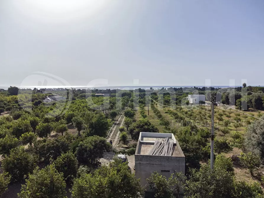 Immagine 1 di Terreno residenziale in vendita  in Contrada calabernardo/palma, snc a Avola