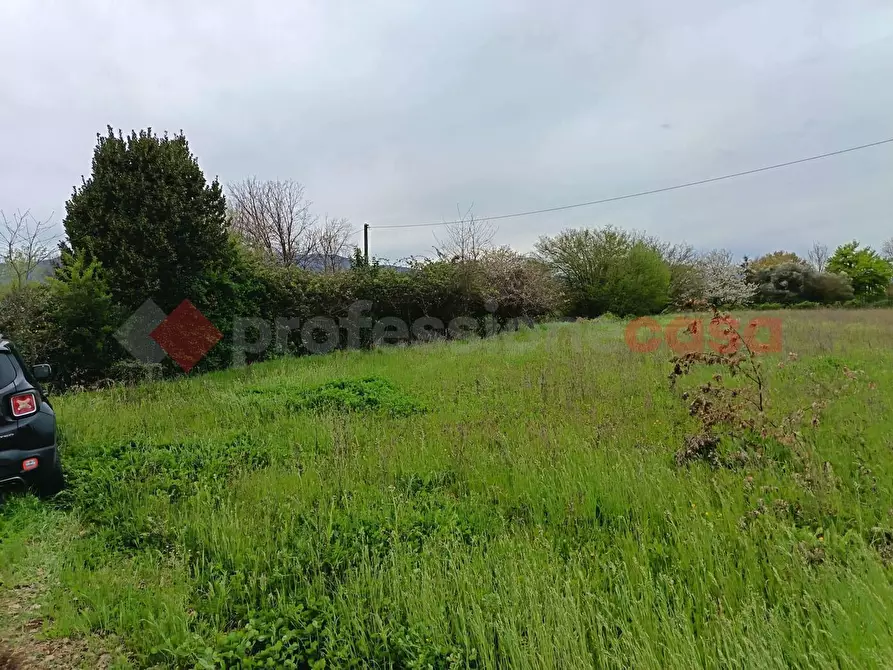 Immagine 9 di Terreno agricolo in vendita  in Strada Vicinale Ponte del Papa, snc a Anagni