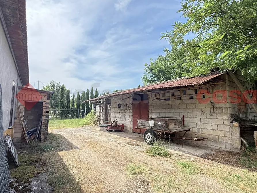 Immagine 23 di Casa indipendente in vendita  in Via sacro cuore, 10 a Alatri