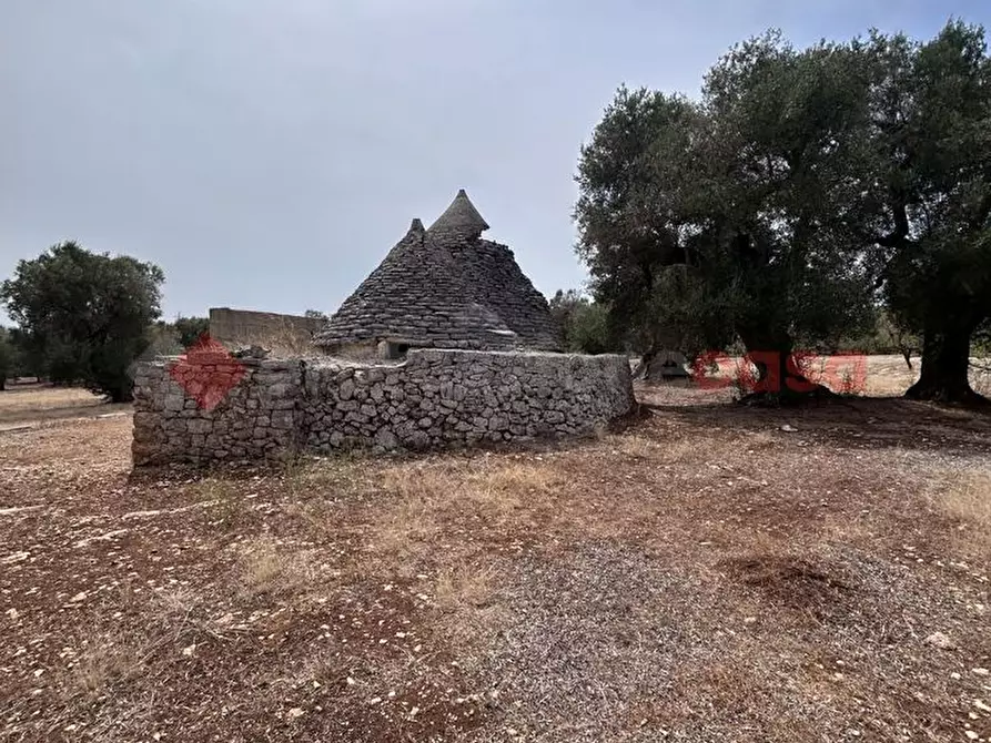 Immagine 6 di Baita in vendita  in Contrada Capece, 1 a Francavilla Fontana