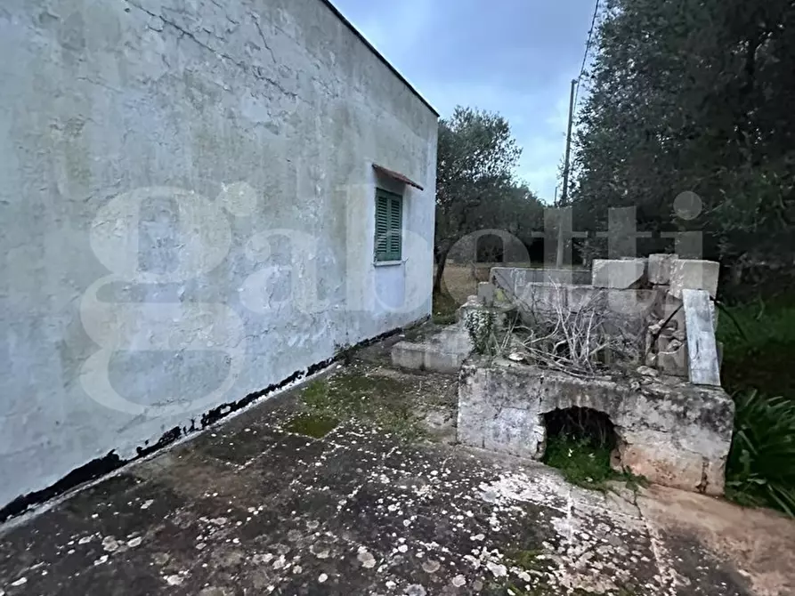 Immagine 4 di Villa in vendita  in Contrada Lamacoppa piccola, sn a Ostuni