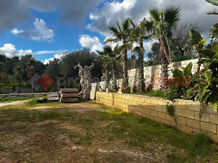 Immagine 8 di Rustico / casale in vendita  in Contrada bellocchio a Monopoli