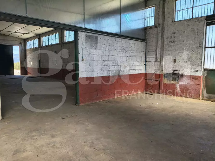 Immagine 8 di Capannone industriale in vendita  in Contrada Cozzipodi, snc a Maida