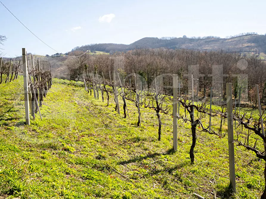 Immagine 39 di Rustico / casale in vendita  in Via DON GIULIO BARABANI, 1 a Assisi