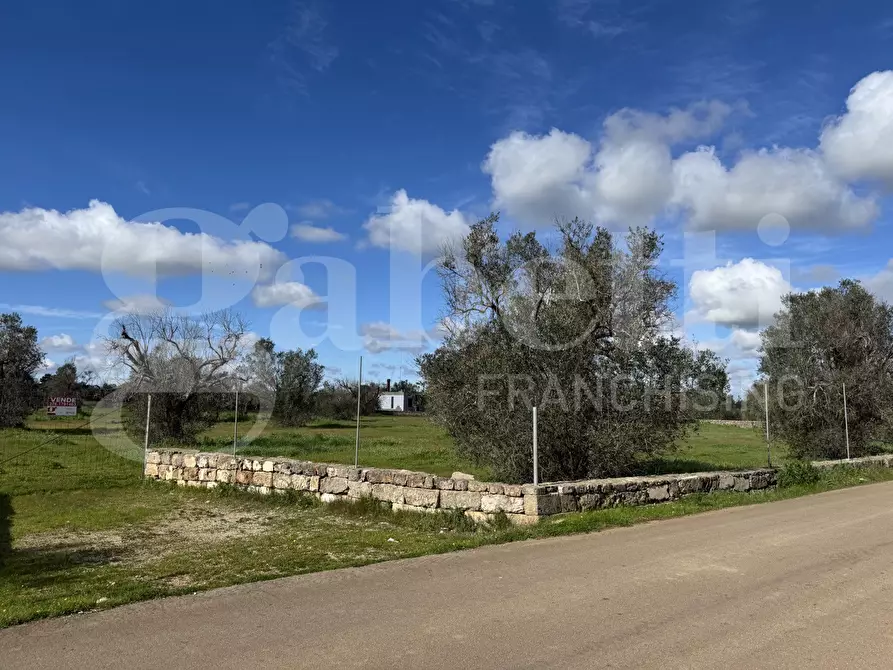 Immagine 4 di Terreno agricolo in vendita  in Via Fiume, 101 a Galatina