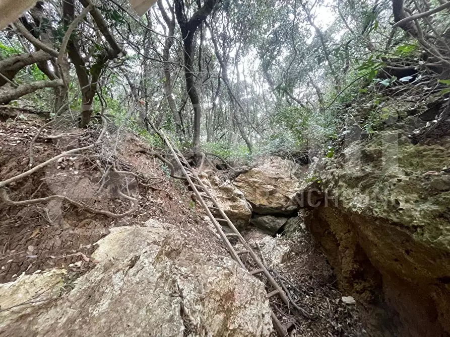 Immagine 8 di Terreno agricolo in vendita  in Via Monte a mare, s.n.c. a Gaeta