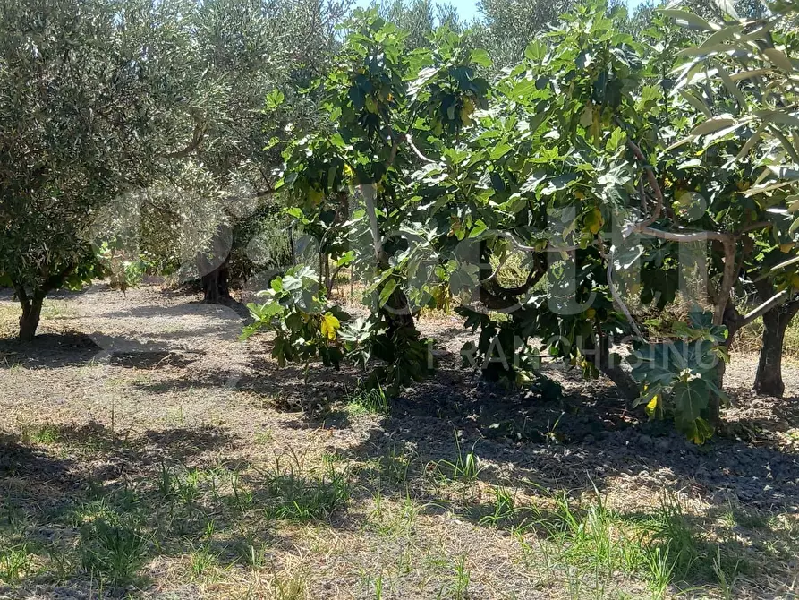 Immagine 12 di Casa indipendente in vendita  in Via Puglia, snc a Catanzaro