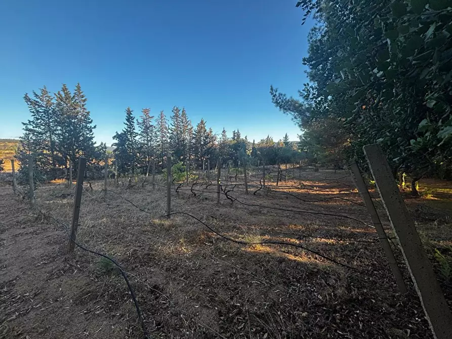 Immagine 8 di Casa trifamiliare in vendita  in LocalitÃ  Perdu Sarigu, snc a Teulada