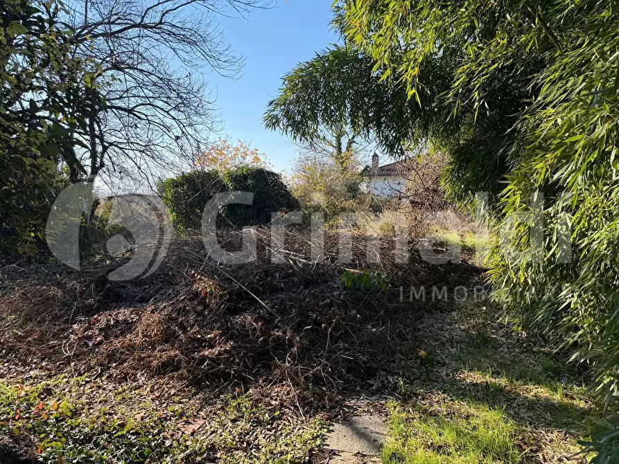 Immagine 11 di Villa in vendita  in Via CAVOUR, 16 a San Cipriano Po