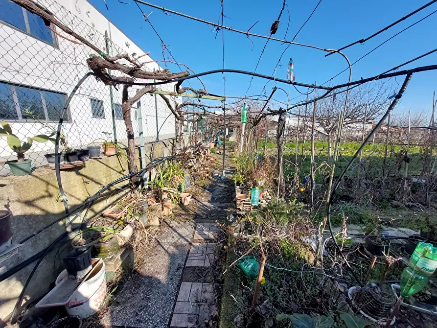 Immagine 4 di Capannone industriale in vendita  in Via Magellano, 4 a Sant'omero