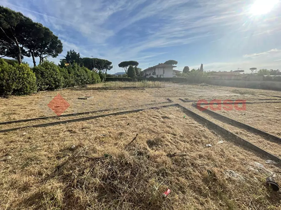 Immagine 7 di Terreno agricolo in vendita  in Strada PROV. S. FELICE CIRCEO, 1 a Terracina