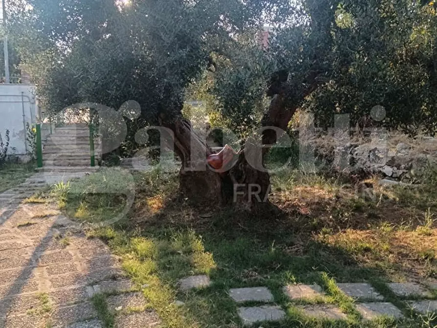 Immagine 12 di Terreno residenziale in vendita  in Via ROSSINI, SNC a Crispiano