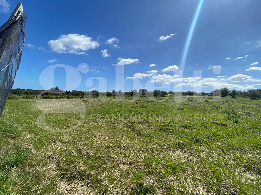 Immagine 7 di Terreno agricolo in vendita  in Strada consortile s.lorenzo, . a Noto