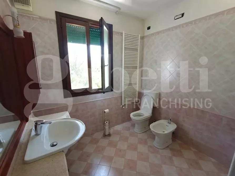 Immagine 7 di Casa indipendente in vendita  in Via Boscochiaro, Via boscochiaro, 00 a Cavarzere