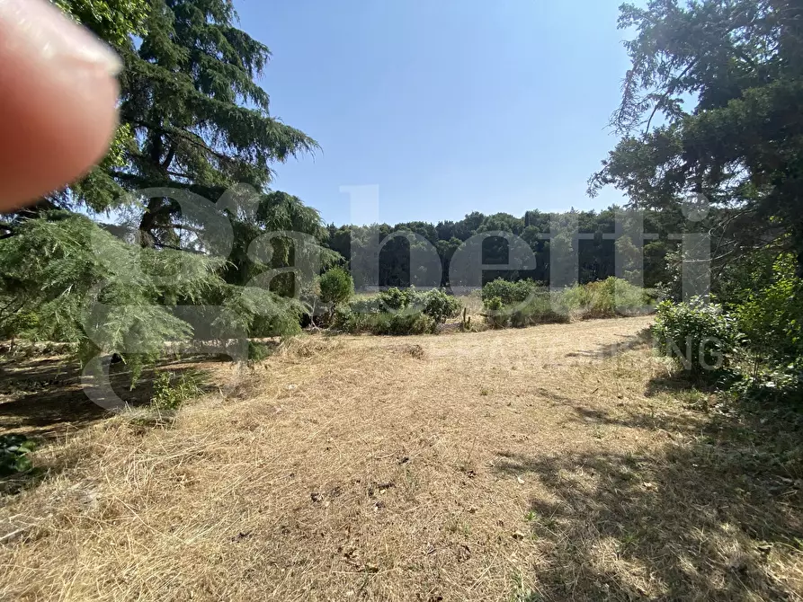 Immagine 38 di Villa in vendita  in Via S.P. 18, 76 a Cassano Delle Murge