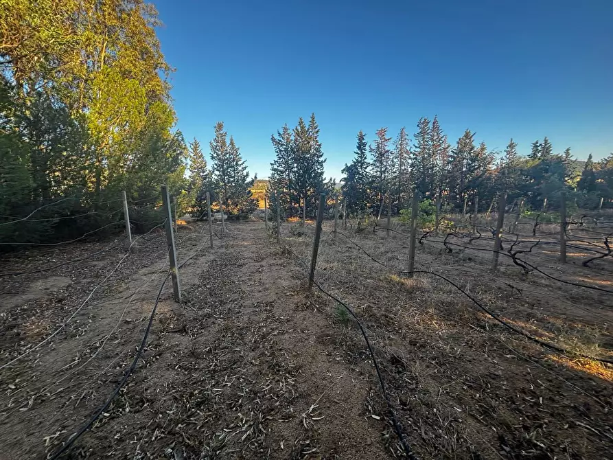 Immagine 7 di Casa trifamiliare in vendita  in LocalitÃ  Perdu Sarigu, snc a Teulada