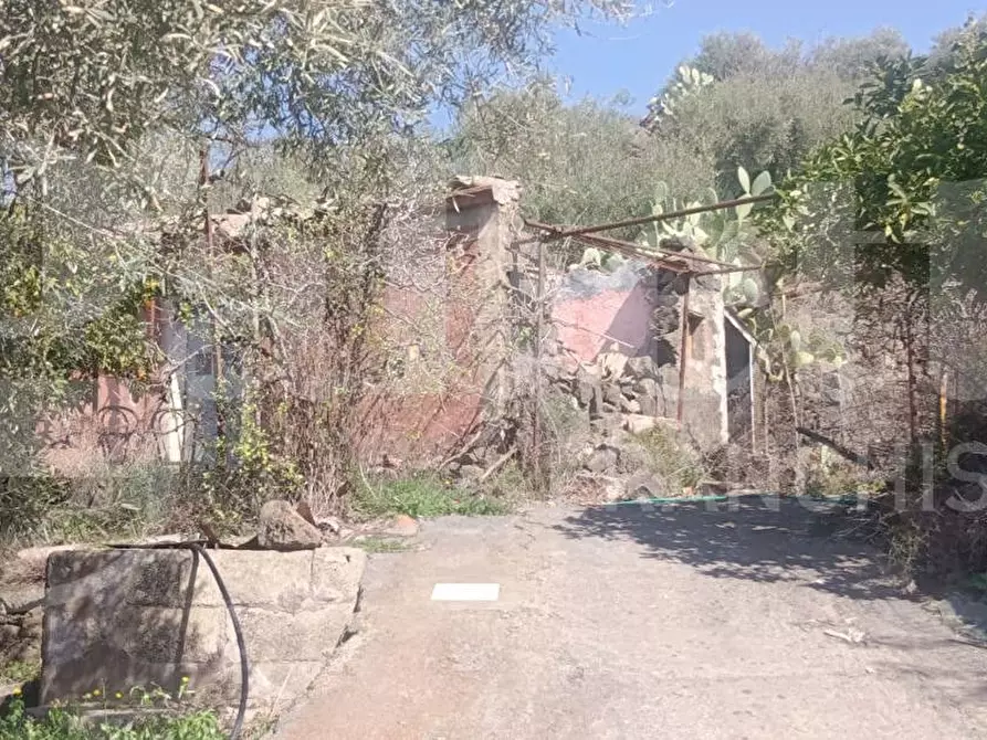 Immagine 3 di Terreno agricolo in vendita  in Contrada Mancusi Soprana, S.N.C a Santa Maria Di Licodia