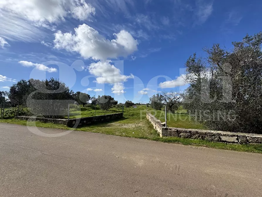 Immagine 8 di Terreno agricolo in vendita  in Via Fiume, 101 a Galatina