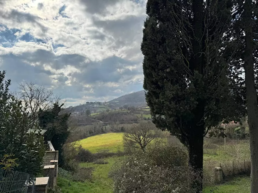 Immagine 22 di Appartamento in vendita  in Via Oberdan, 2 a Sorano