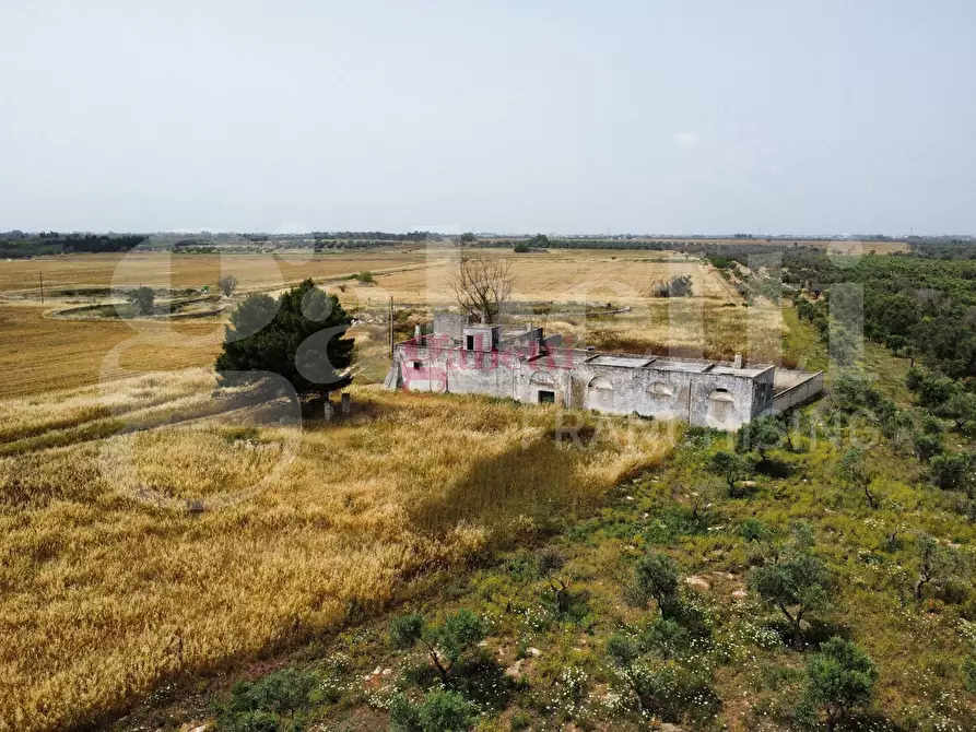 Immagine 27 di Villa in vendita  in Strada Provinciale 101, 1 a Campi Salentina