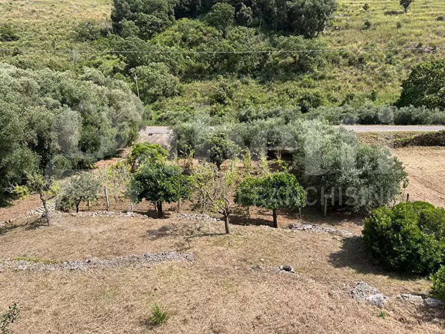 Immagine 18 di Terreno agricolo in vendita  in Via Sant'Agostino, snc a Gaeta