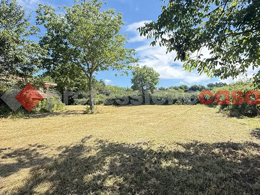 Immagine 19 di Appartamento in vendita  in Via Campo le Fraschette, scn a Alatri