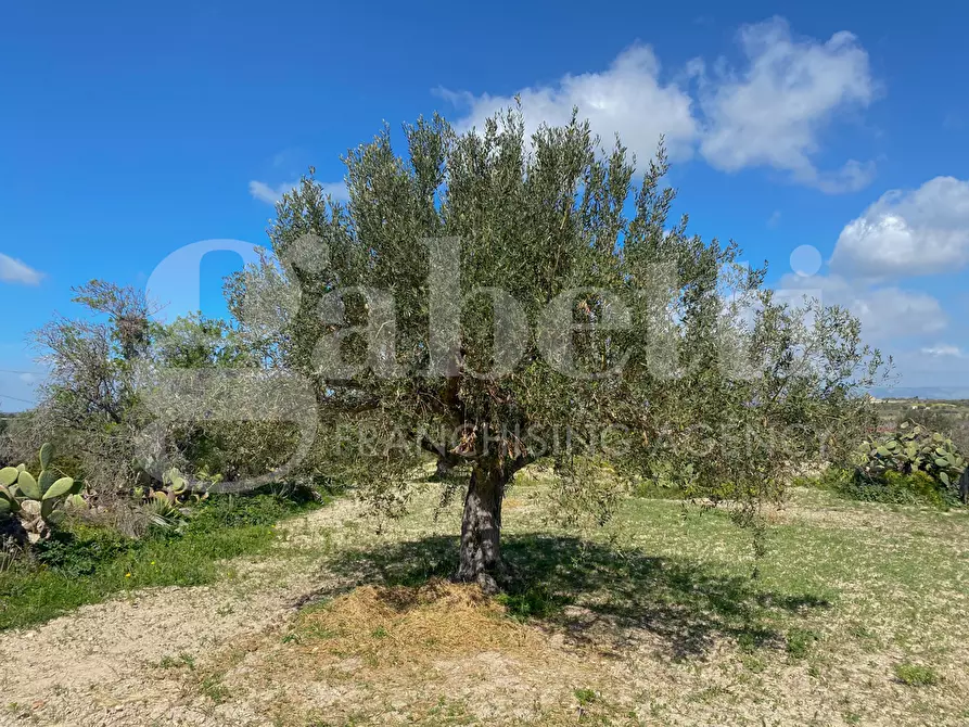 Immagine 5 di Terreno agricolo in vendita  in Strada consortile s.lorenzo, . a Noto