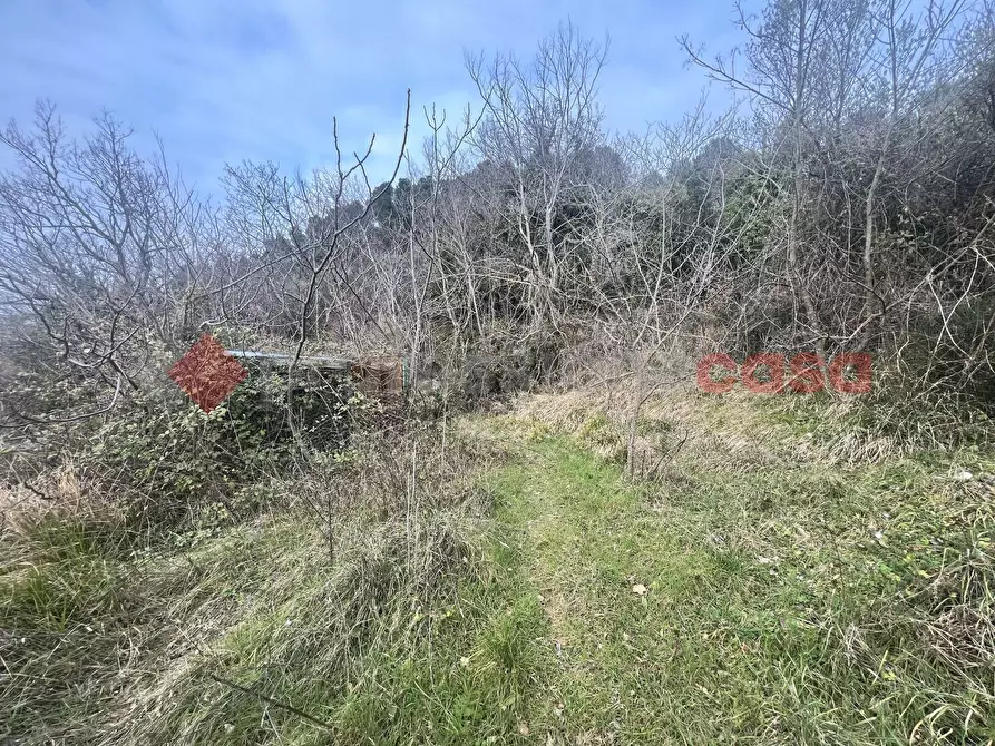 Immagine 11 di Terreno agricolo in vendita  in LocalitÃ  Rubbiano a Spoleto