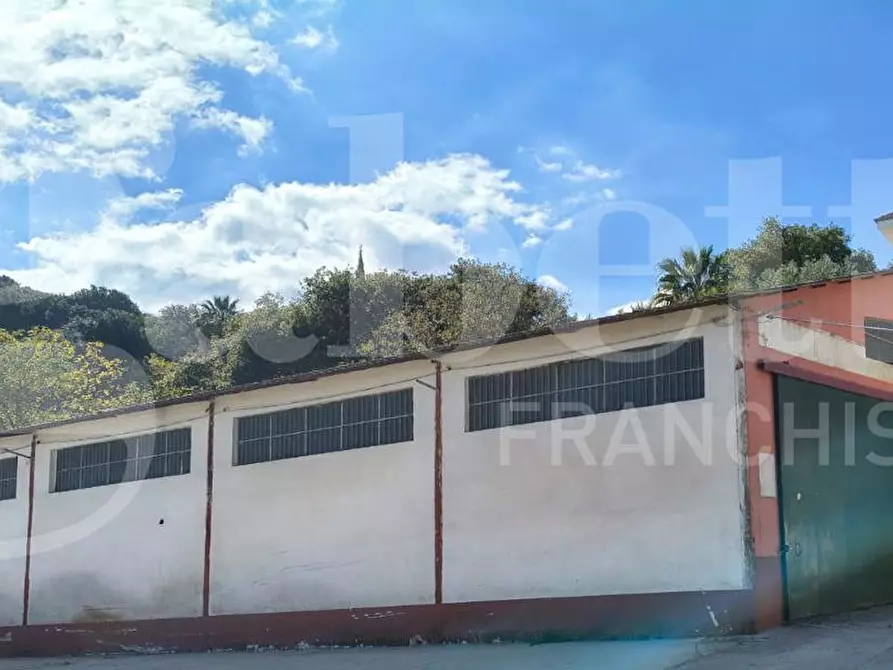 Immagine 1 di Capannone industriale in vendita  in Contrada Cozzipodi, snc a Maida