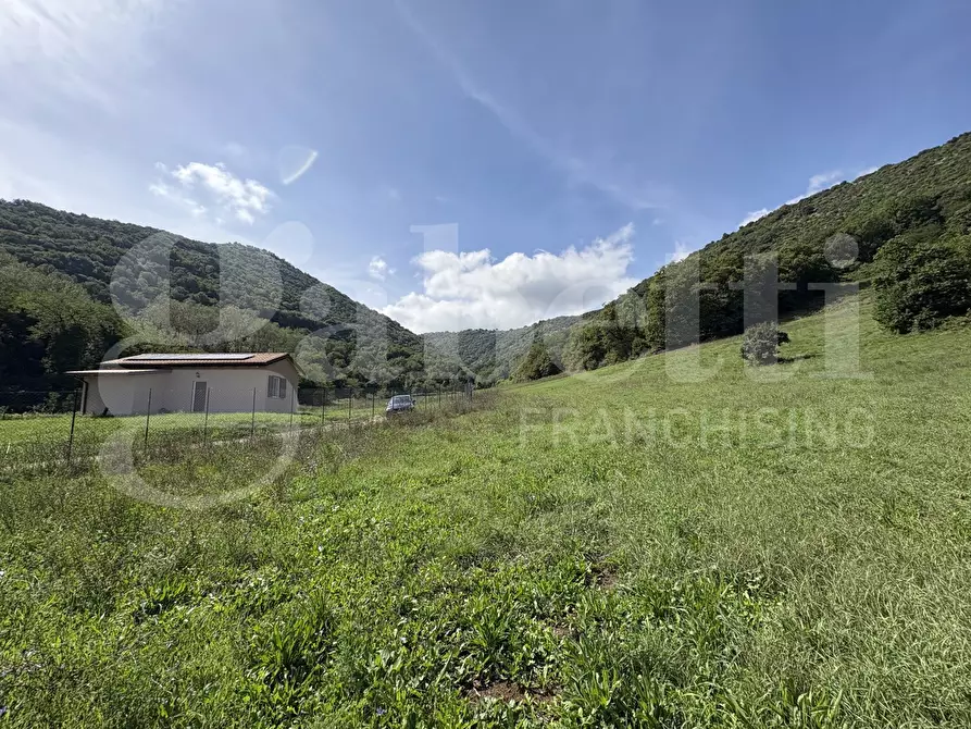 Immagine 21 di Terreno agricolo in vendita  in Via Carpinetana Ovest, snc a Segni