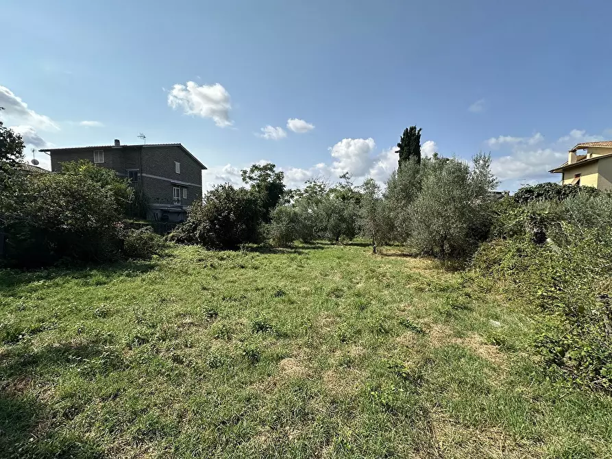 Immagine 2 di Terreno residenziale in vendita  in Via CASE NUOVE, 00 a Canale Monterano