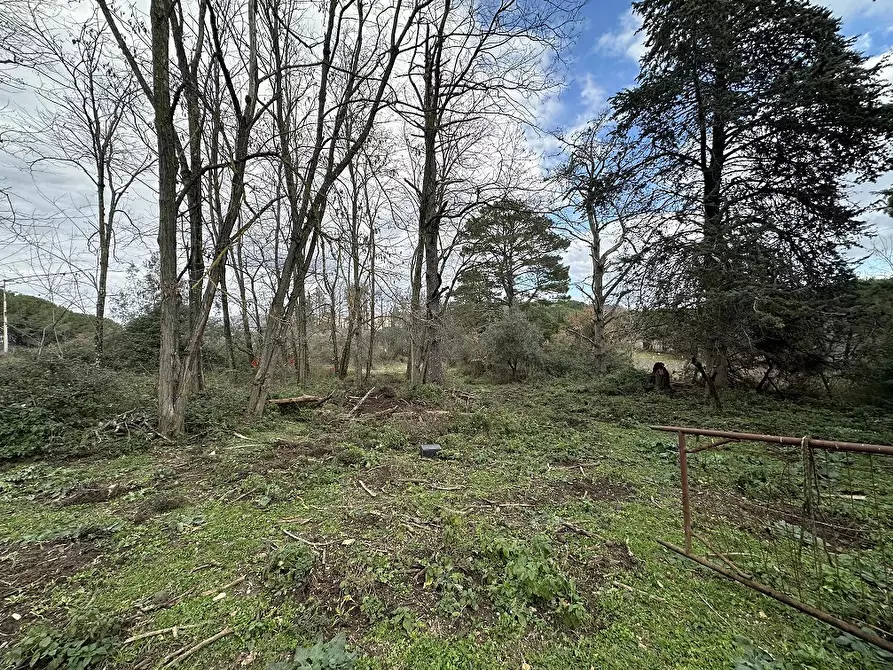 Immagine 3 di Terreno agricolo in vendita  in Via MONTANCIANO, 00 a Canale Monterano