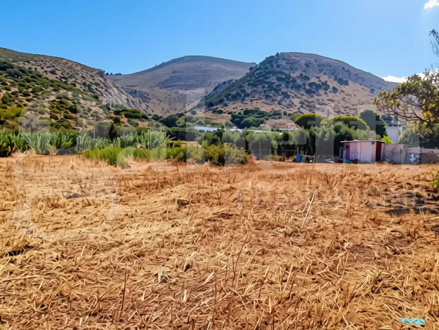 Immagine 6 di Terreno agricolo in vendita  in LocalitÃ  San Vito, s.n.c. a Gaeta